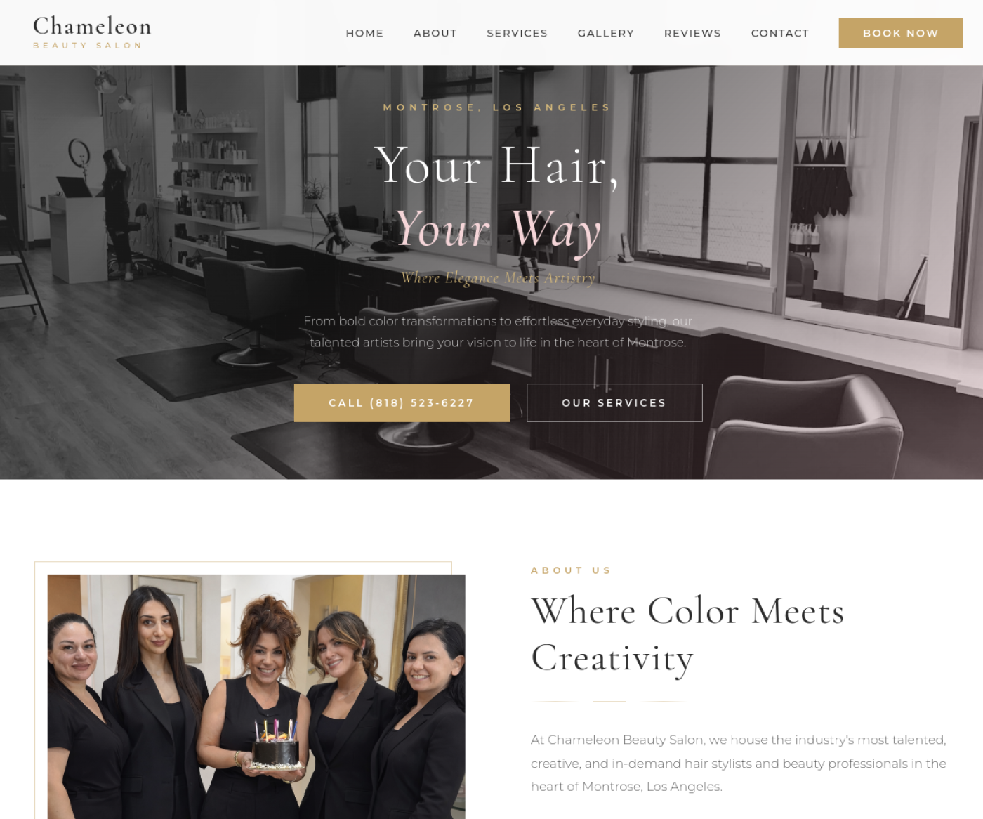 Chameleon Salon website