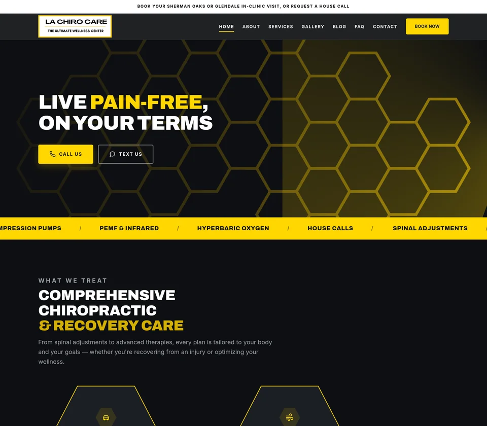 LA Chiro Care website