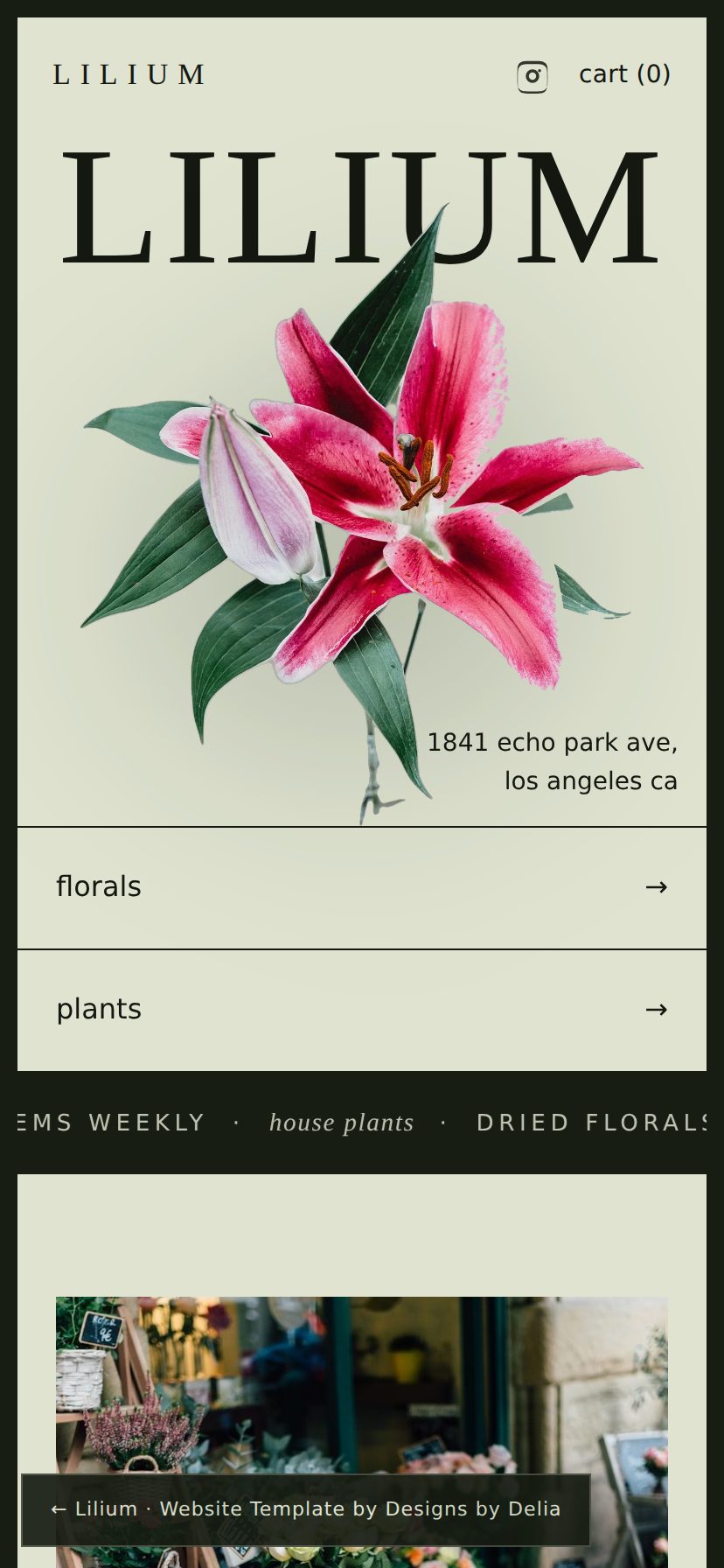Lilium mobile layout