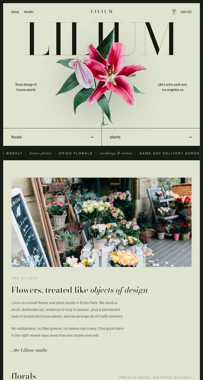 Lilium shown on a tablet