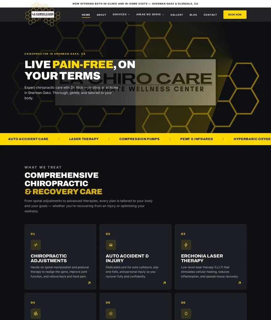 LA Chiro Care website in progress