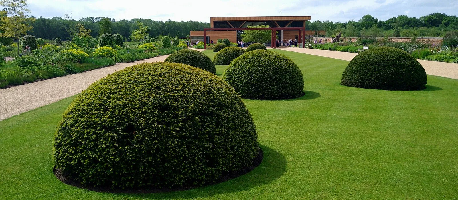 A professionally landscaped garden, landscaping web design by Designs by Delia