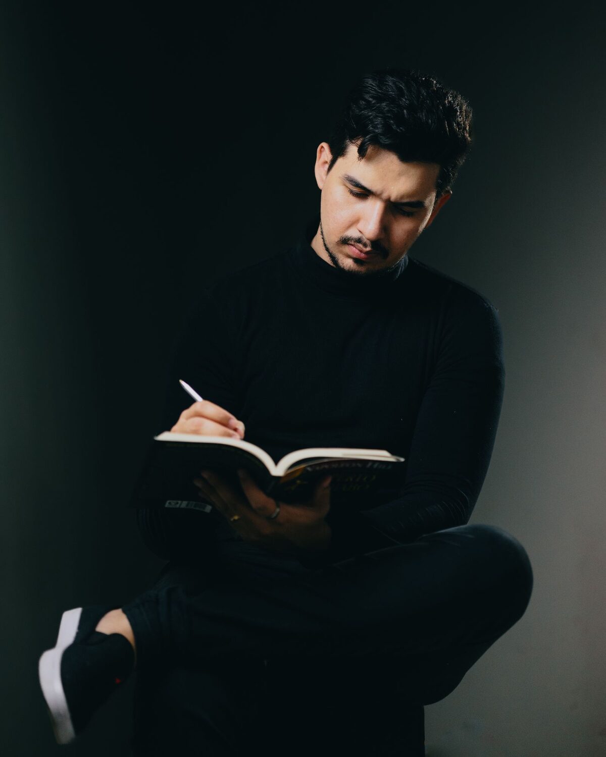 In-page excerpt reader