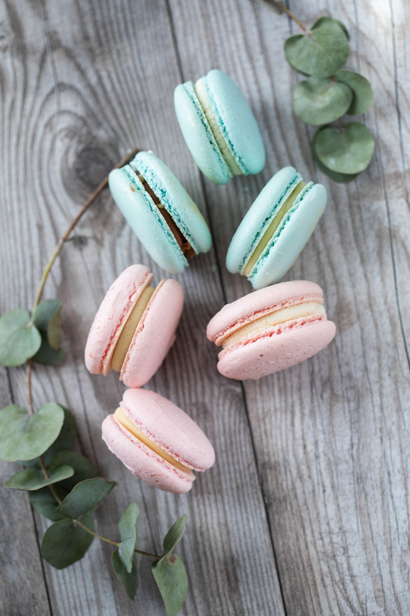 Pastel macarons